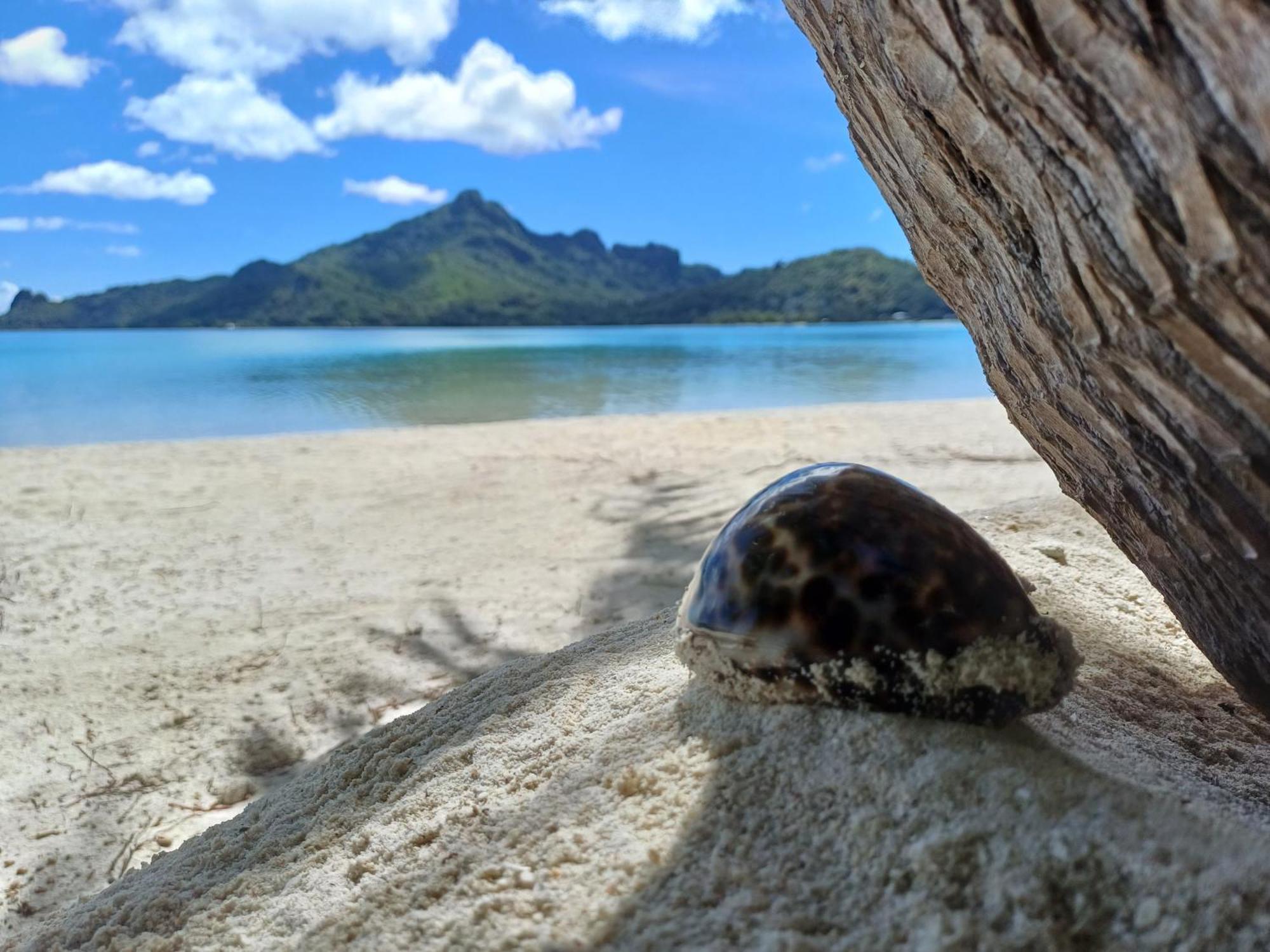 Poemanahere Island Camping A Maupiti Te-Fare-Arii Экстерьер фото