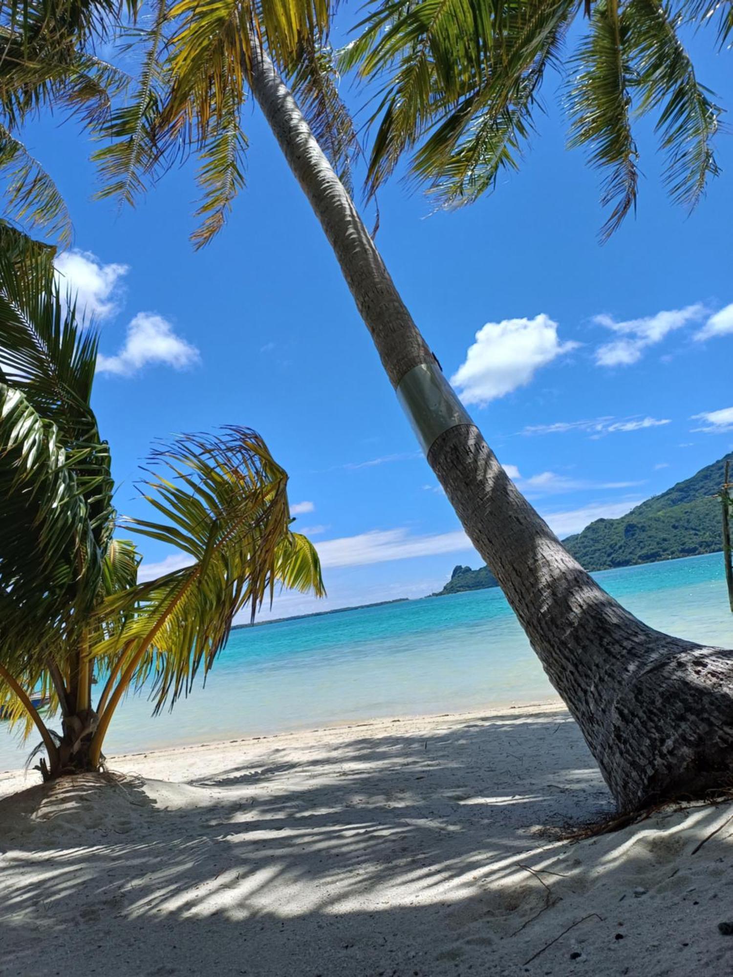 Poemanahere Island Camping A Maupiti Te-Fare-Arii Экстерьер фото