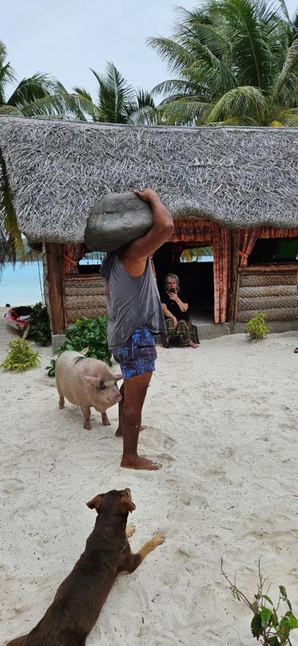 Poemanahere Island Camping A Maupiti Te-Fare-Arii Экстерьер фото