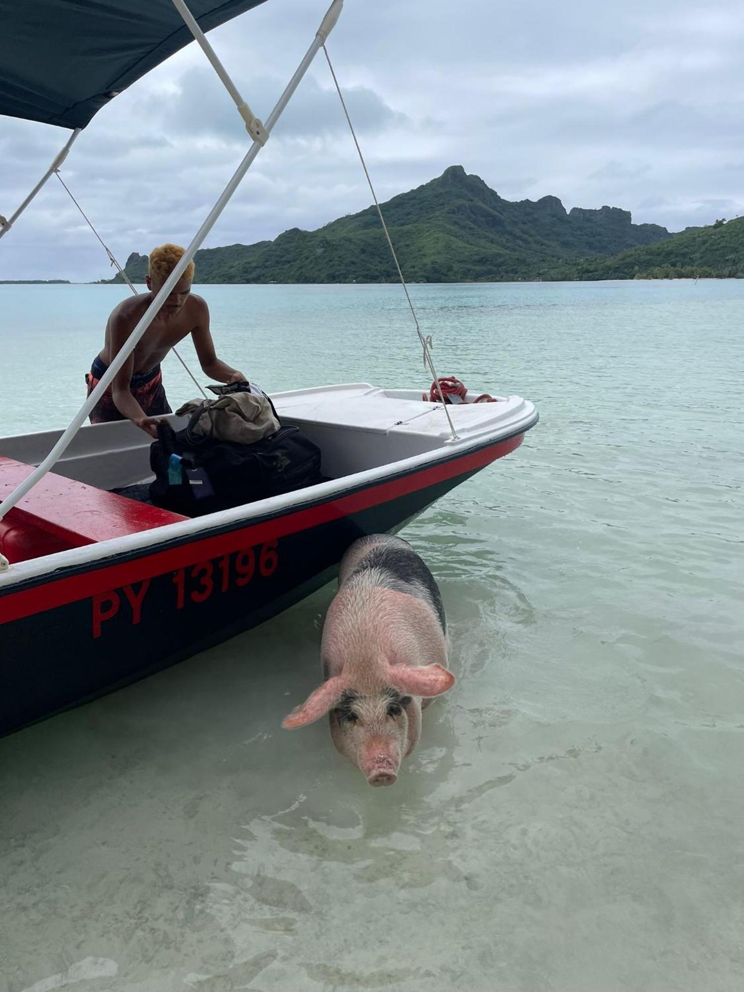 Poemanahere Island Camping A Maupiti Te-Fare-Arii Экстерьер фото