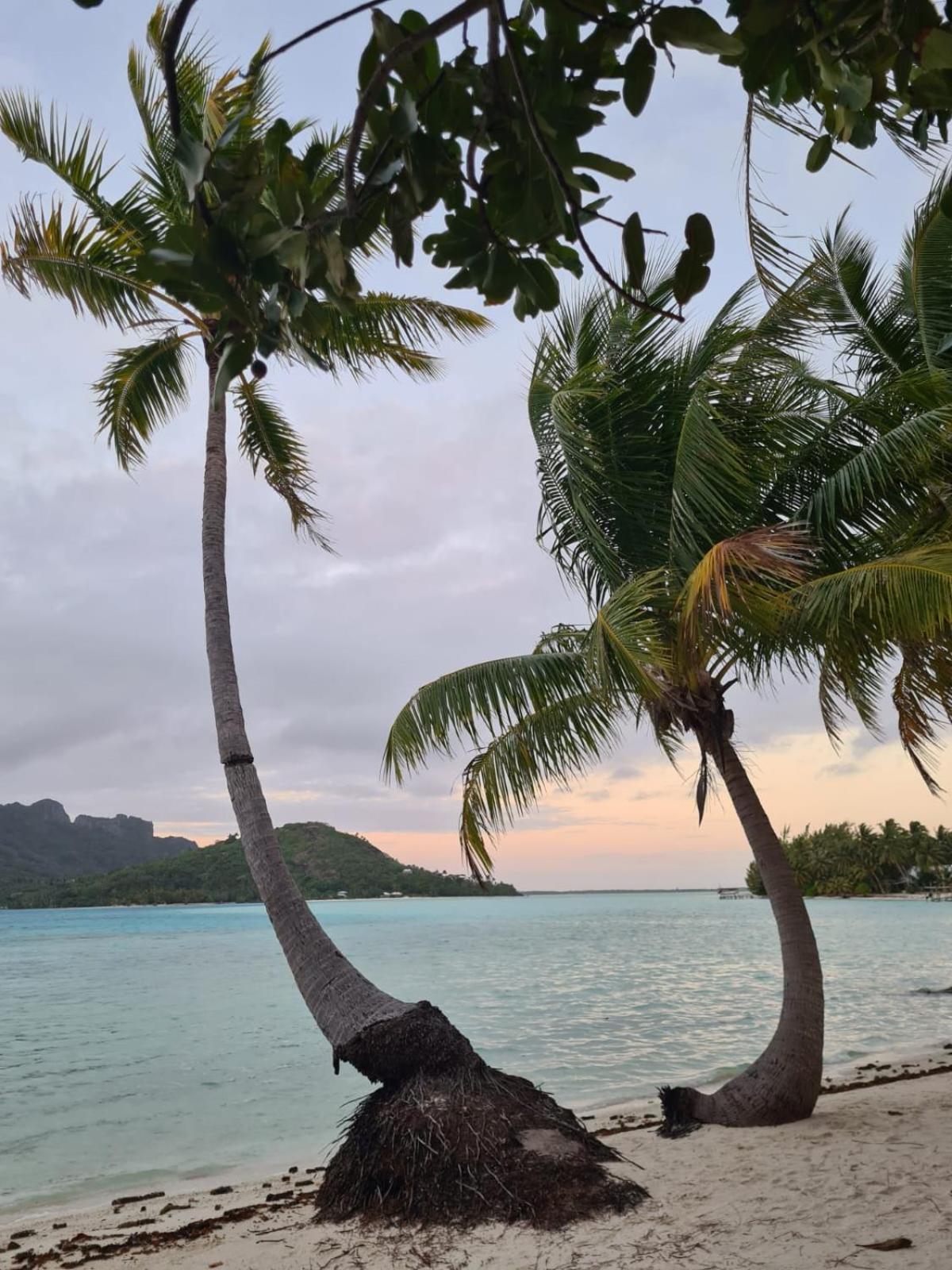 Poemanahere Island Camping A Maupiti Te-Fare-Arii Экстерьер фото